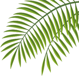 image de séction témoignages